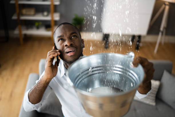 Best 24/7 water damage repair  in Harrison, MI