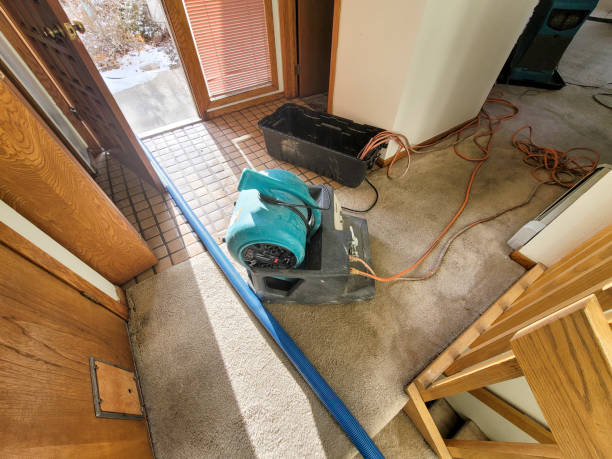 Best Professional water damage repair  in Harrison, MI