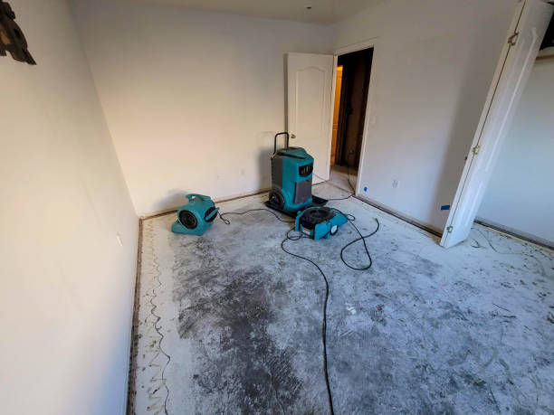 Best Water damage restoration near me  in Harrison, MI