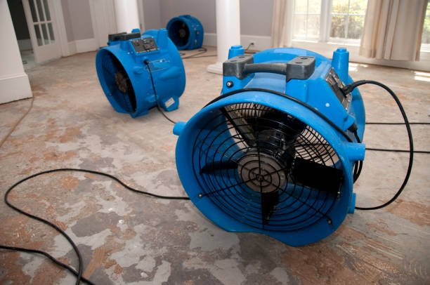 Best Flood damage cleanup  in Harrison, MI