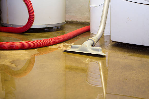 Best Flooded house restoration  in Harrison, MI