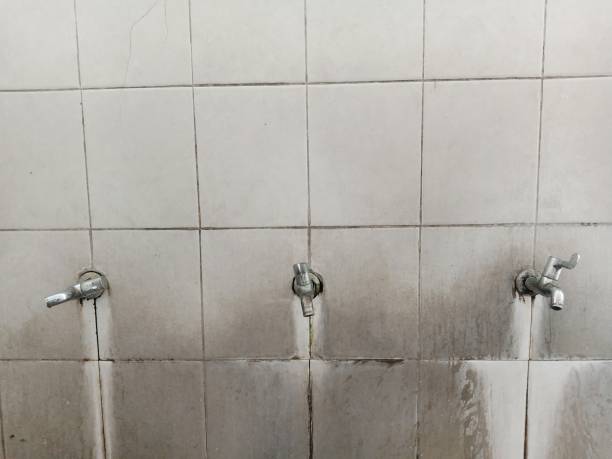Best 24-hour water damage restoration  in Harrison, MI