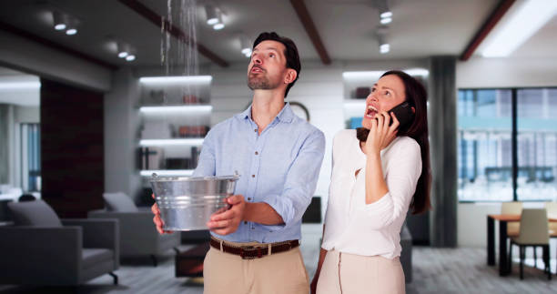 Best Flood restoration services  in Harrison, MI