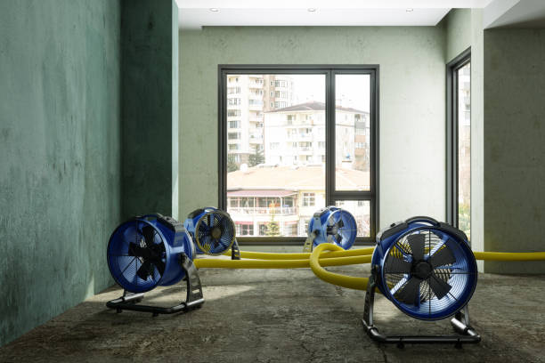 Best Water damage restoration near me  in Harrison, MI
